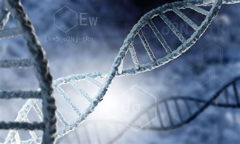 Image result for What Is DNA Analysis