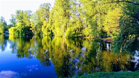 Image result for Spring Work Reflections