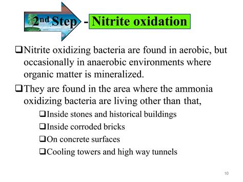 Image result for Test Paper Example