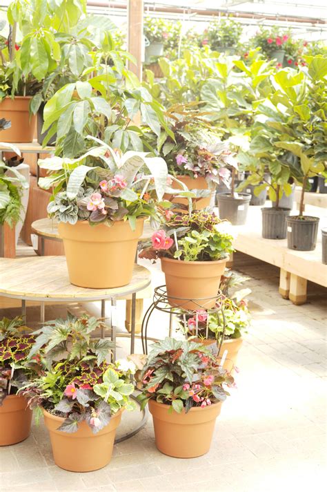 Container Garden Design