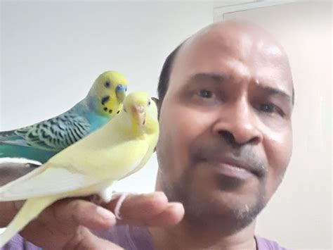 SPRING EXPORTERS | WIRE FORM SUPPLIERS | SHEET METAL COMPONENTS ...