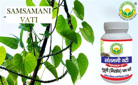 BASIC AYURVEDA Samshamani Vati 60 Tablets Pack Of 4 | Giloy (Tinospora ...