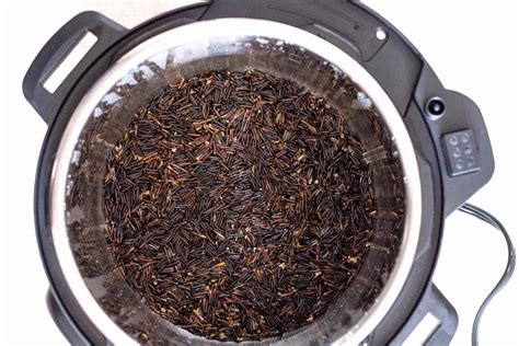 How To Cook Wild Rice In Electric Pressure Cooker | Storables