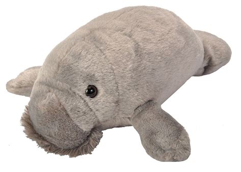Buy Wild Republic Cuddlekins Mini Manatee Plush Online at Low Prices in ...