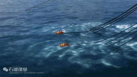 SCP 4307 的图像结果