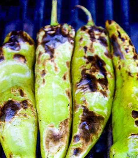Freeze Dried Hatch Green Chili at Ben Waterbury blog