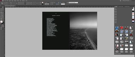 Image result for InDesign Book Layout Design