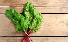 cucinare bietola come cucinare la bietola ricette con la bietola facili e cucinare bietola come cucinare la bietola ricette con la bietola facili e