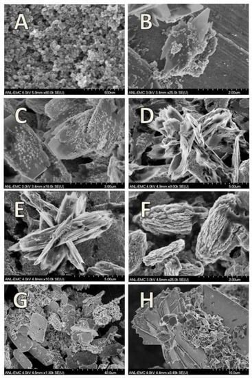 Effects of Fe(III) Oxide Mineralogy and Phosphate on Fe(II) Secondary ...