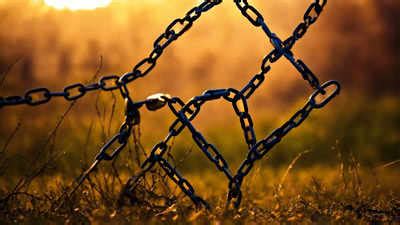 Image result for Layout Regularisation Scheme