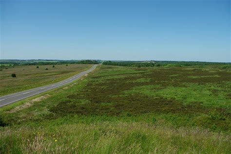 THE BEST Vildbjerg Zoos & Wildlife Parks (2025) - with Reviews