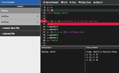 Image result for Raspberry Pi Prgramming IDE