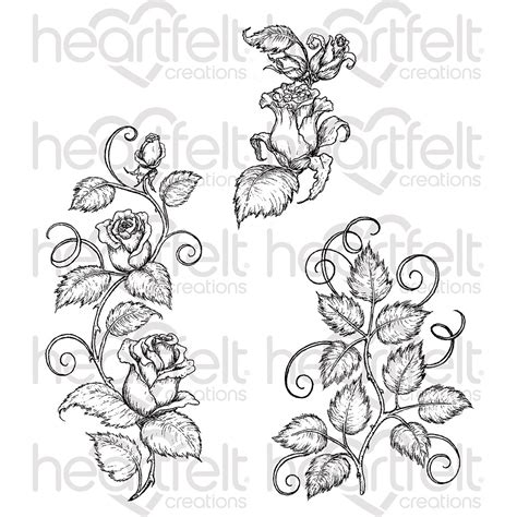 Rose Vine Drawing Designs at PaintingValley.com | Explore collection of ...