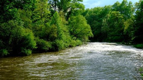 Image result for River Table Project