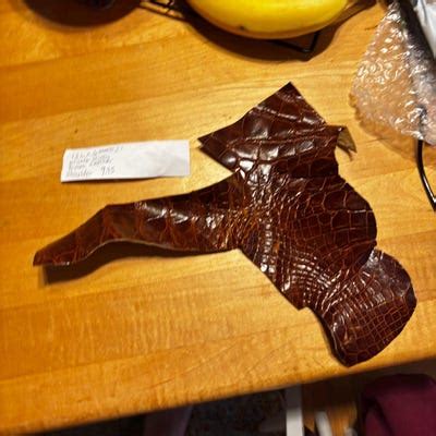 Image result for Common Snapping Turtle Shell