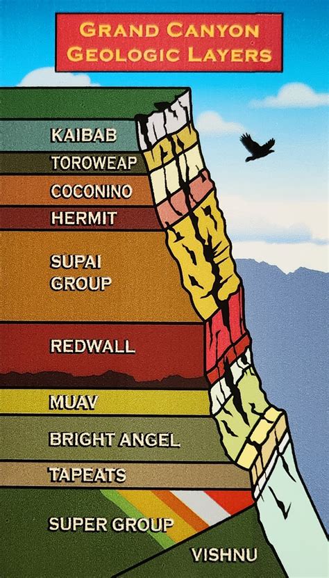 Geologic Layers Of The Grand Canyon