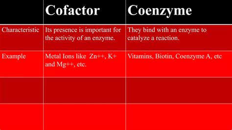 Enzyme Vs. Coenzyme: What’S The Difference? – DQVT