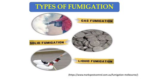 Image result for Fumigation Methods