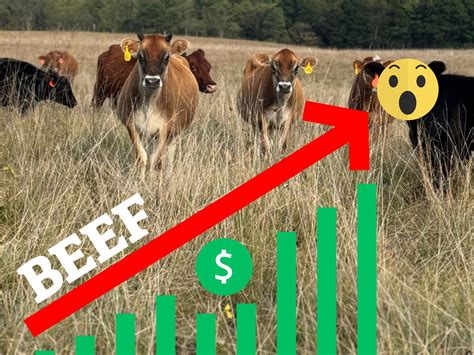 Beef Prices Rising