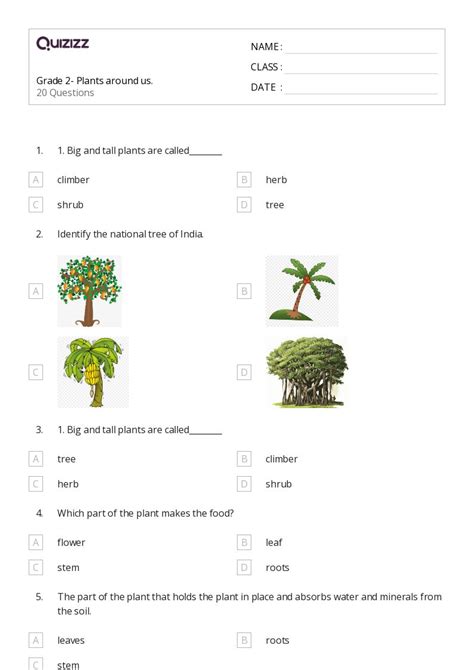 50+ Roots worksheets for 2nd Class on Quizizz | Free & Printable