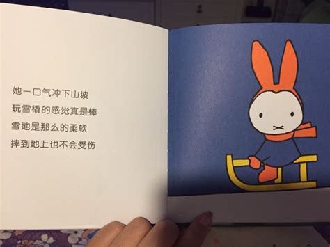 米菲绘本系列(10册) - 中文绘本 欧洲 国外 童书
