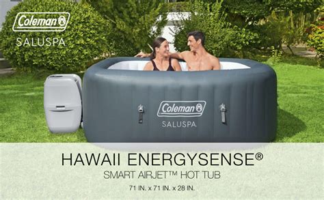Image result for Coleman Inflatable Spa