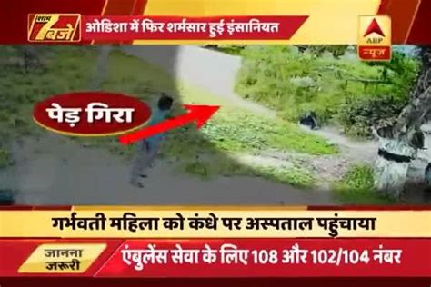 Horrifying incident again; Couple crushed by falling tree in Odisha