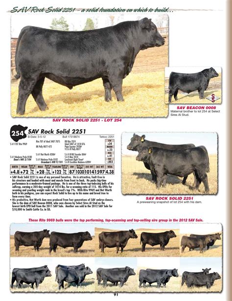 Schaff Angus Valley - 110th Production Sale by LivestockDirect - Issuu