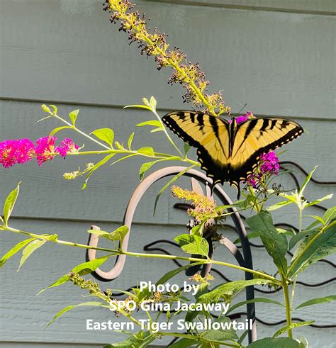 Illinois*TRAIN*TRAIN*TRAIN*TRAIN* - /view/login/login.xhtml