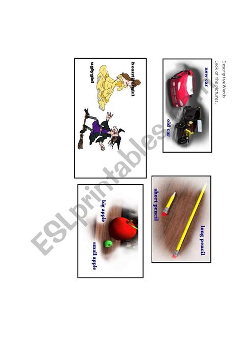 Descriptive Words Worksheet 的图像结果