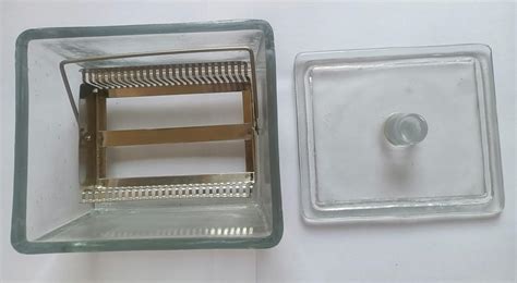 ABG GLASS STAINING JAR BIG SIZE. SLIDES HOLDING CAPACITY UP TO 25 ...