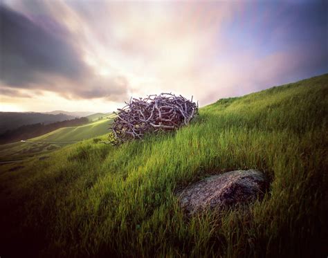 Djerassi Resident Artists Program | Volunteer - Djerassi Resident ...