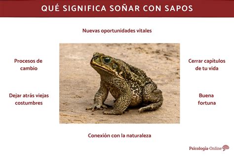 Qué significa soñar con sapos - Interpretación de los sueños