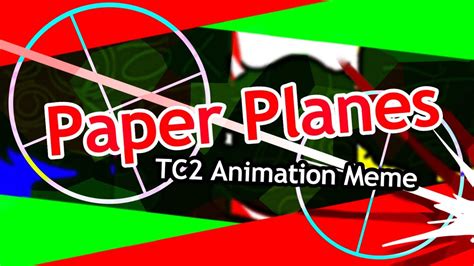 TC2 Animation 的图像结果