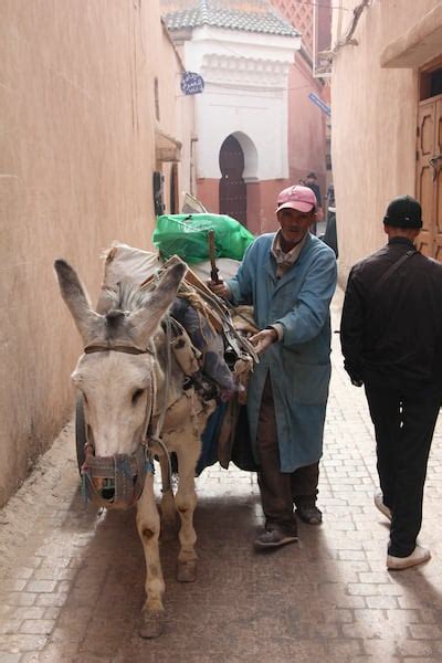 Marrakesh's post-Covid tourism makeover means less hassle and more ...