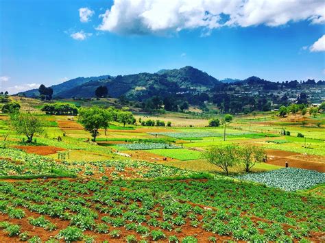 San Juan Chamula Tourism (2024): All You Need to Know Before You Go