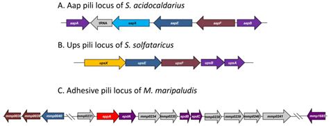 Life | Special Issue : Extremophiles and Extreme Environments