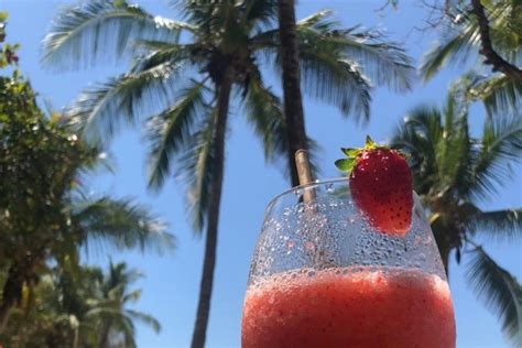 2024 Puerto Viejo: Iguanas + Bri Bri Waterfall (Puerto Viejo de Talamanca)