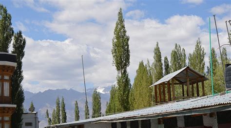 BIJOO HOTEL (Leh, Ladakh) - Hotel Reviews & Photos - Tripadvisor