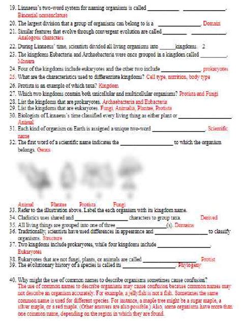 Image result for Classification Test Instructions