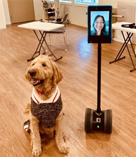 TelePresence 的图像结果