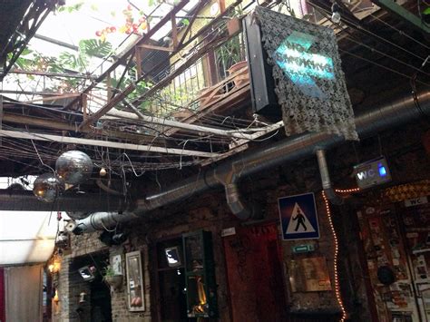 Auf Rottensteins Spuren › Turmsegler