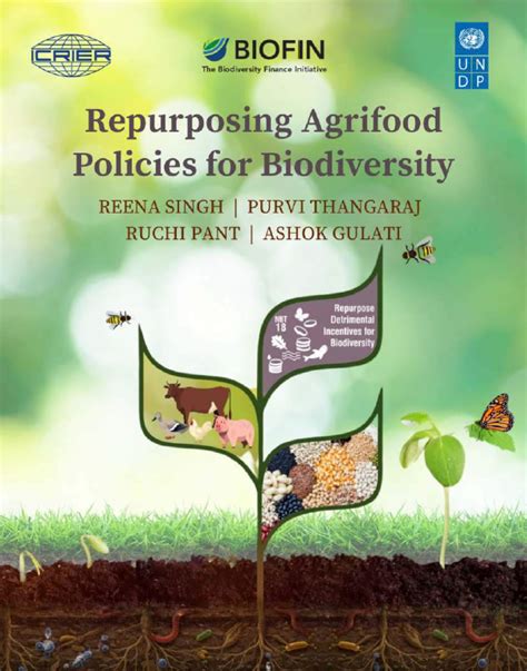 ICRIER - Think Tank | Indian Council for Research on International ...