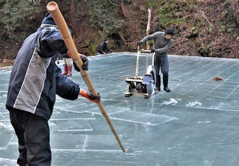 "Eis-Ernte" in Saitama bereitet auf heiße Sommertage vor