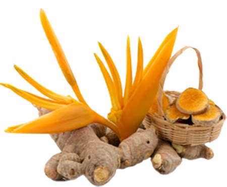 Best Acne Scar Healing Combo – Reduce Acne Pits, Dark Spots, & Shrink