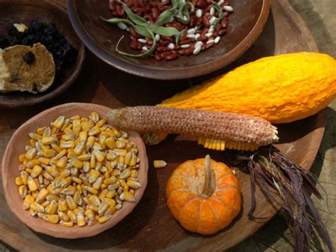 Vegetables From The Americas: American Vegetable History
