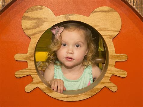 Daniel Tiger’s Neighbourhood | Meer