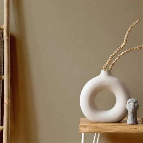 Mid-tone beige NCS paint colors reviews