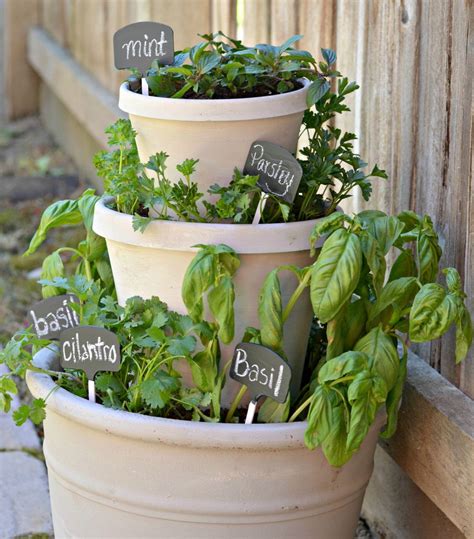 Cool Herb Gardens In Containers 2022 - atelieartemae