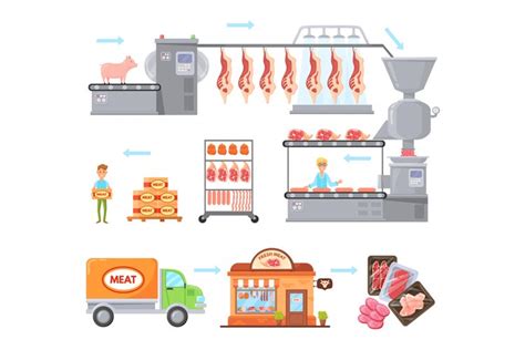 Image result for Beef Processing Process